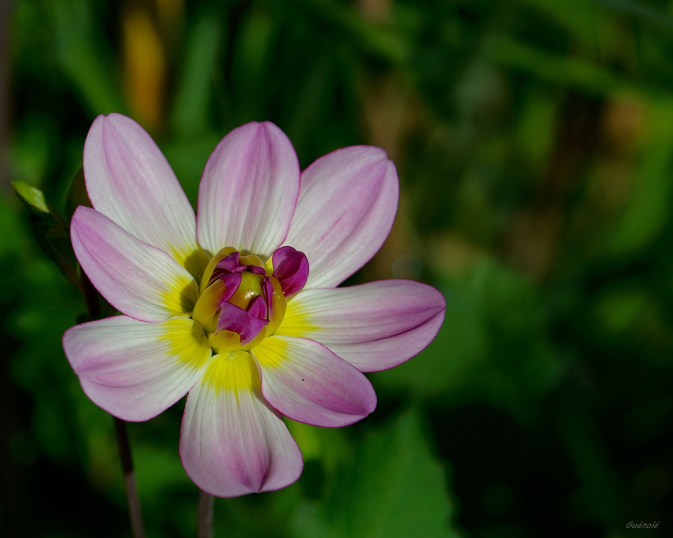 1DSC_0023_DxO 1080.jpg