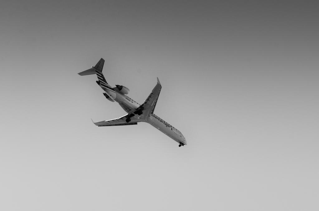 1i.jpg