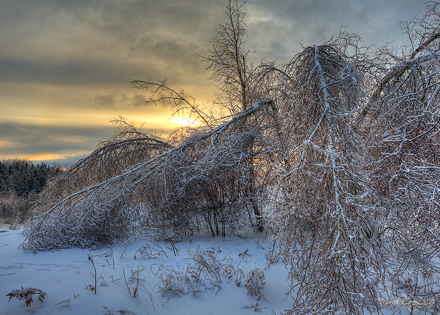 1MC_2040_1_2_tonemapped.jpg