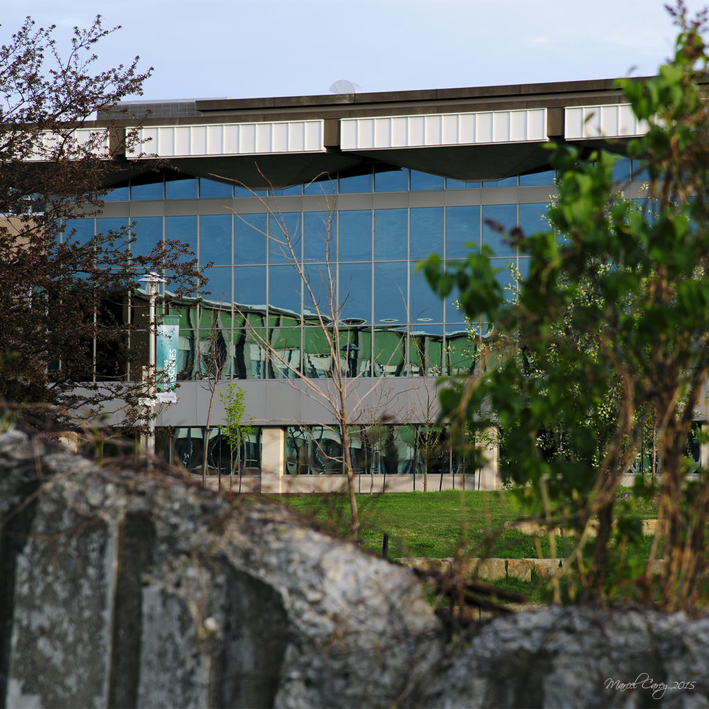 1MC_3566.jpg