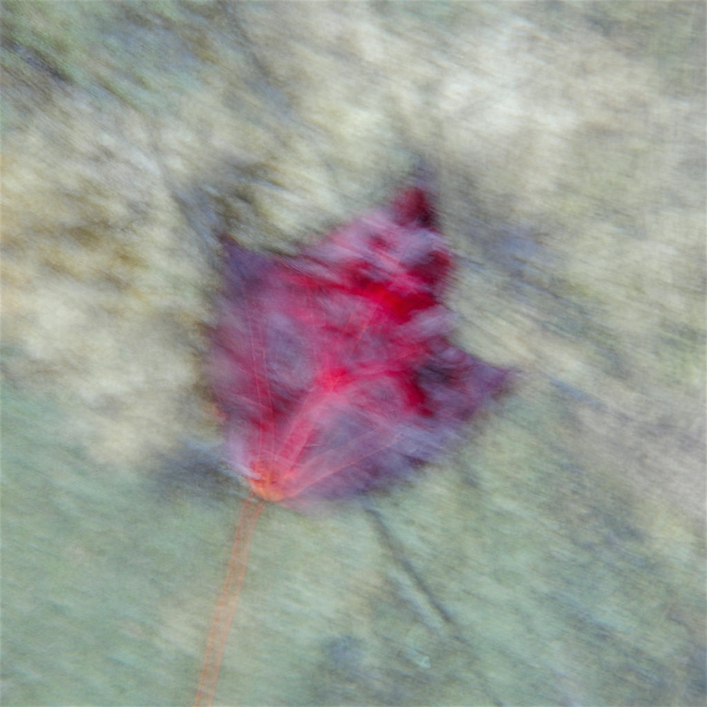 1MC_4069.jpg