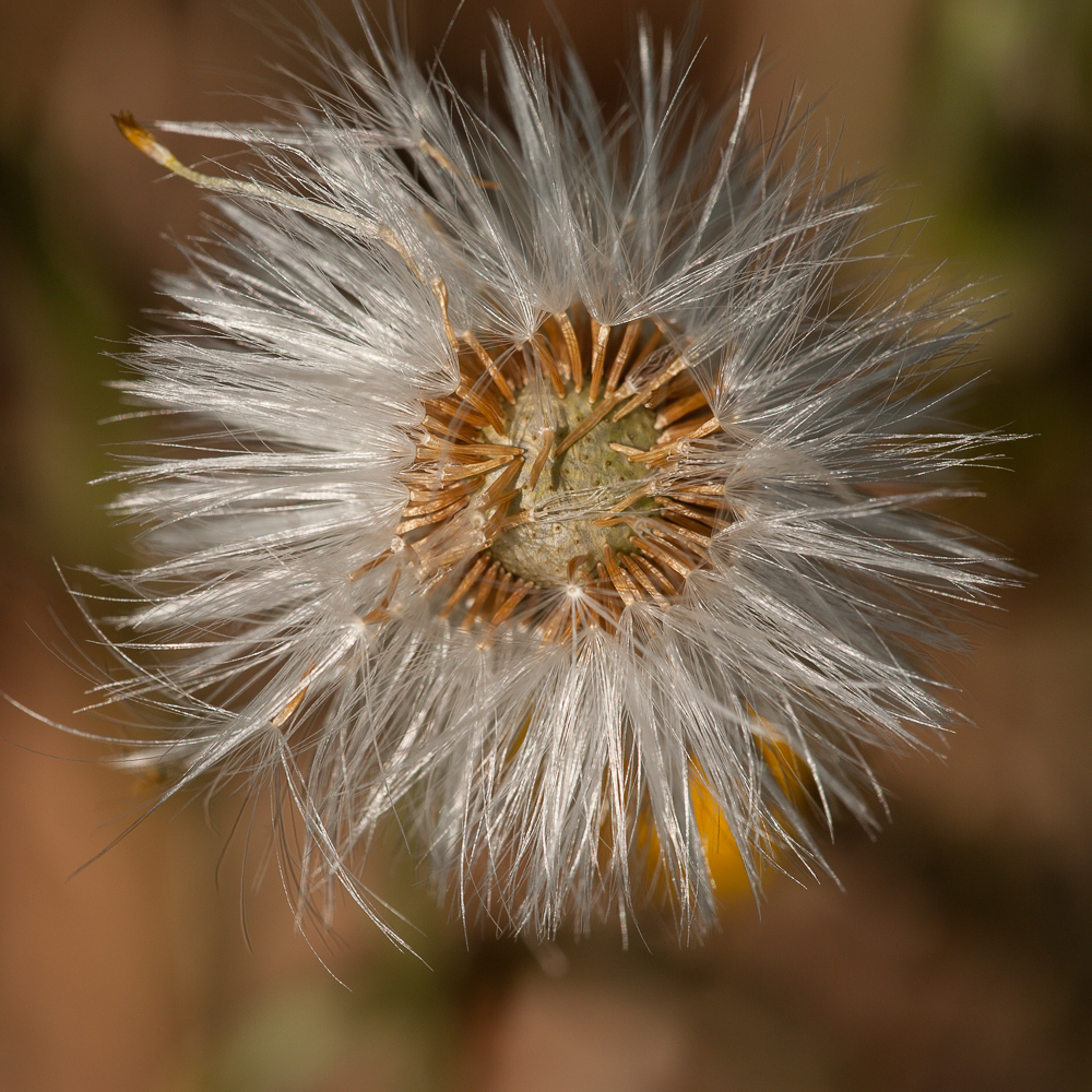 1MC_4488.jpg