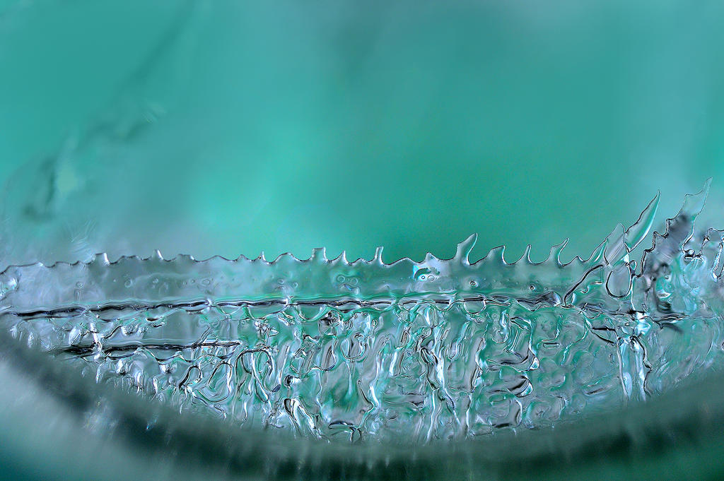 1MC_5611.jpg