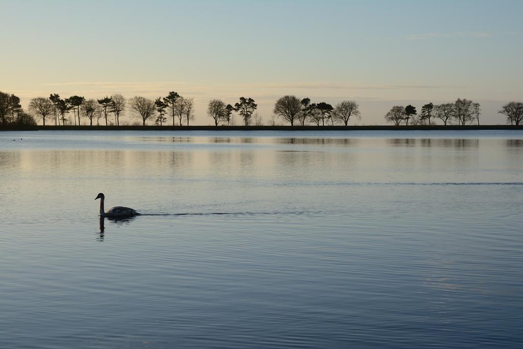 1MG_3593_01.jpg 1MG_3593_01.jpg