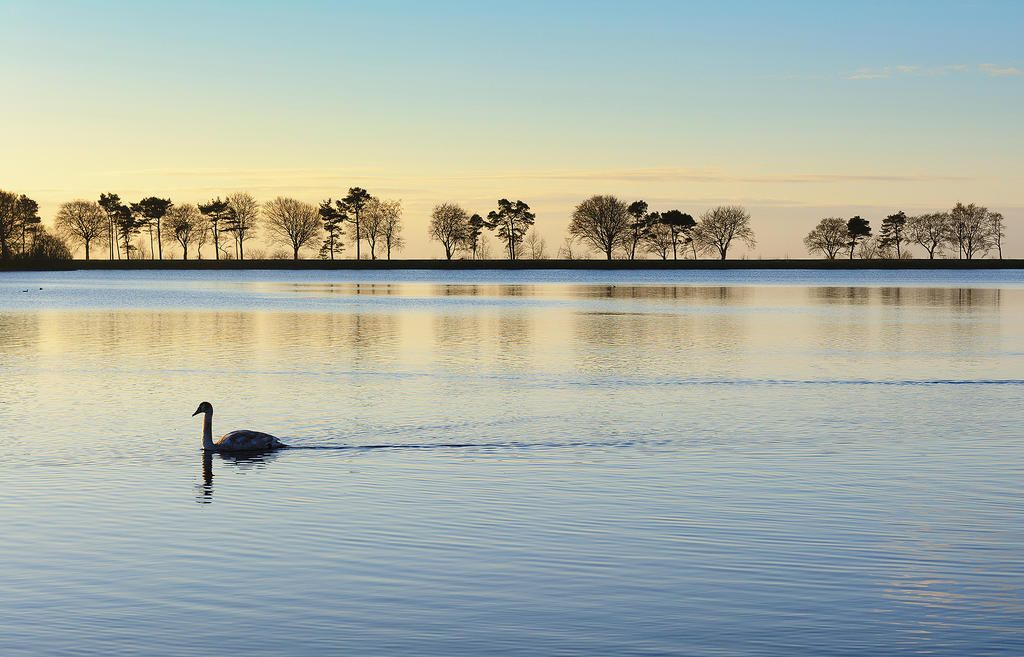 1MG_3593b.jpg 1MG_3593b.jpg