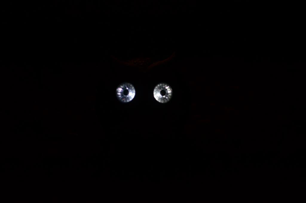 1st June 2013 006.jpg