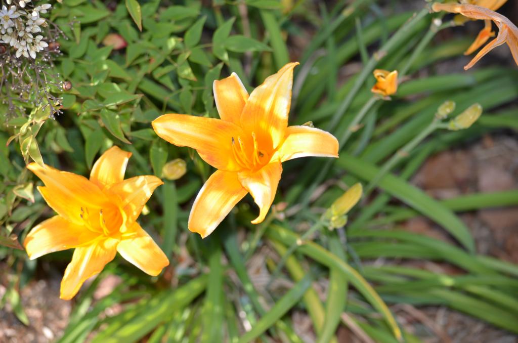 1st June 2013 055.jpg