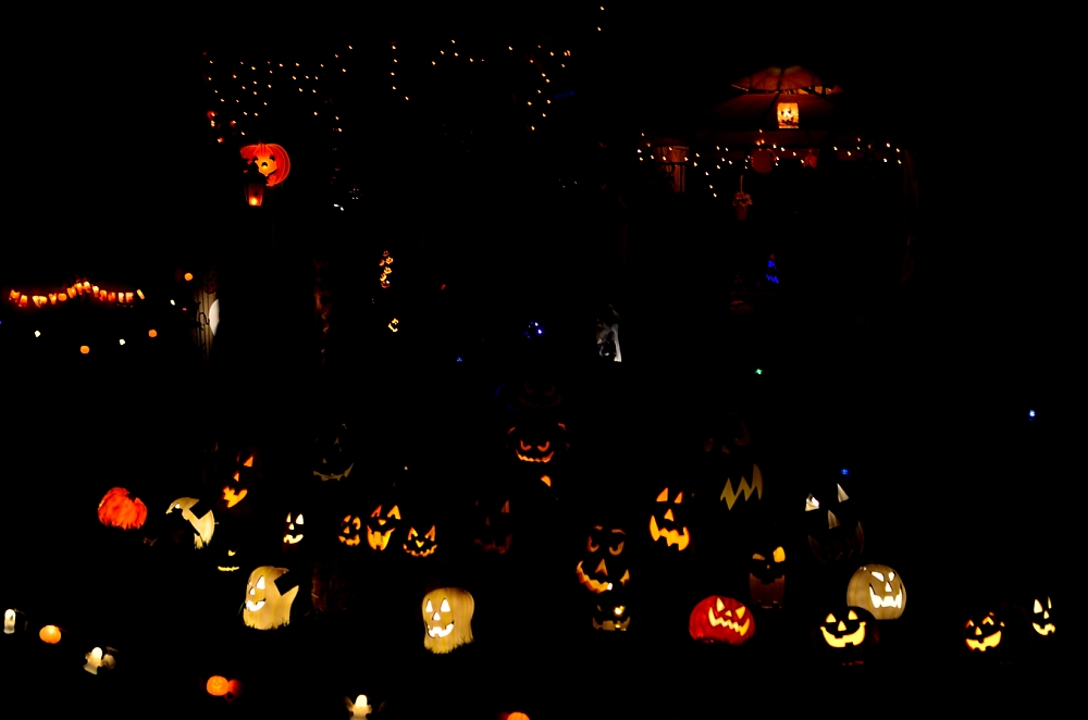 1st Nov 2014 024.JPG