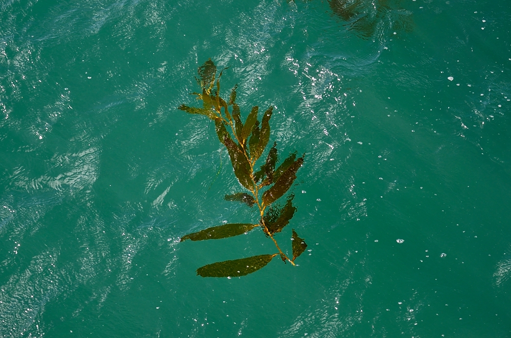 1st Nov 2014 042.JPG