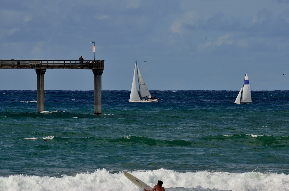 1st Nov 2014 087.JPG