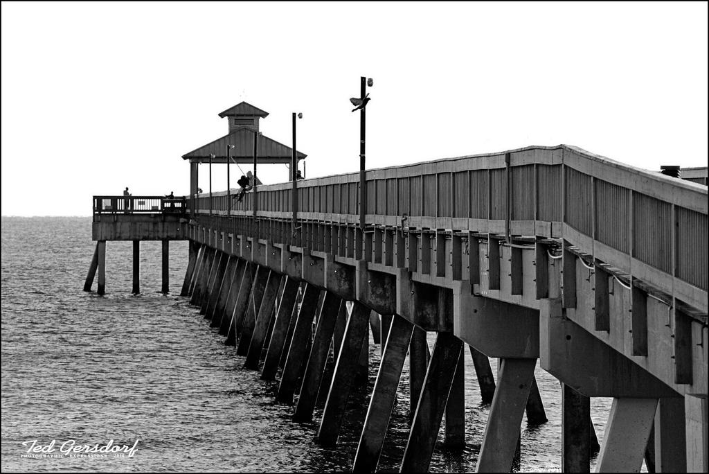 2-16-14 Pier Sunrise 29bw.jpg