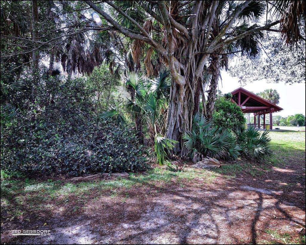 2-16-15 Tradewinds   2.jpg
