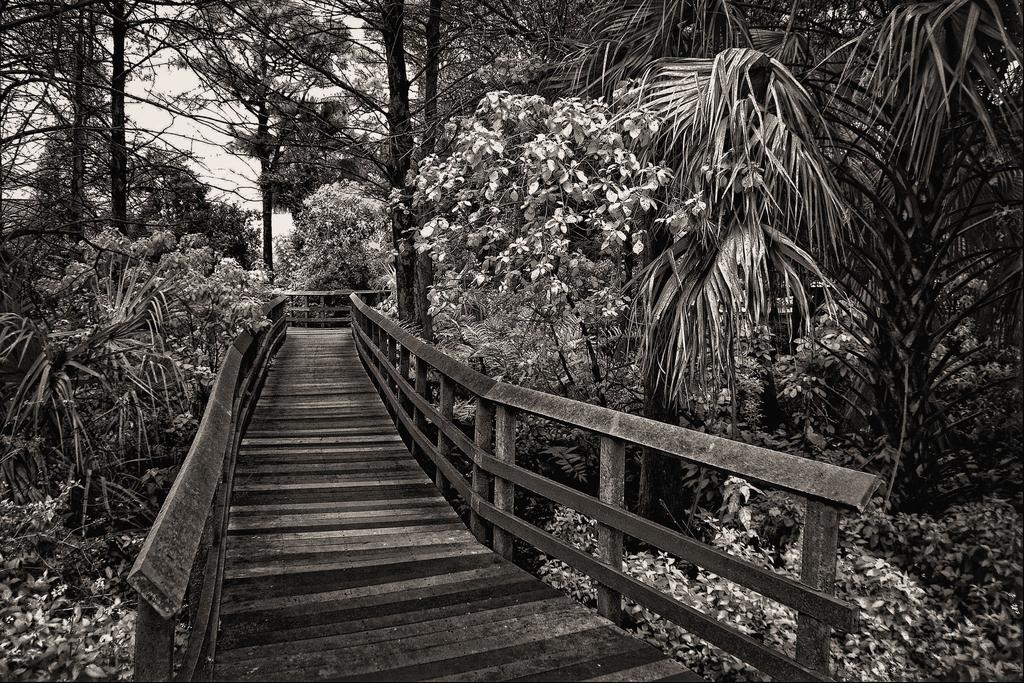 2-18-16 Trade Winds IR   1 BW.jpg