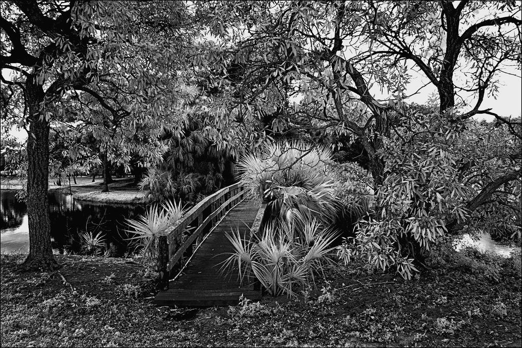 2-18-16 Trade Winds IR   4 BW.jpg