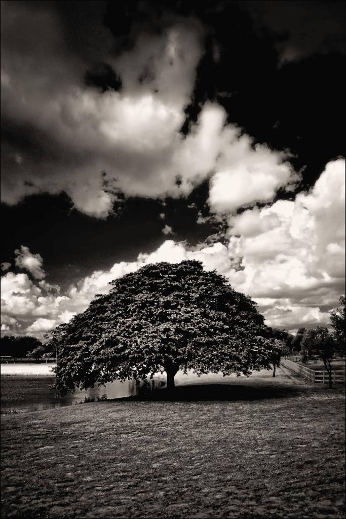 2-18-16 Trade Winds IR   6 BW.jpg
