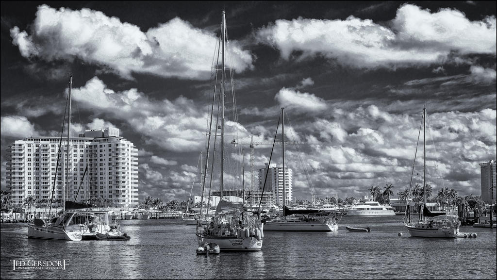 2-2-2017 LasOlas  (1 of 1)-4BWsm.jpg