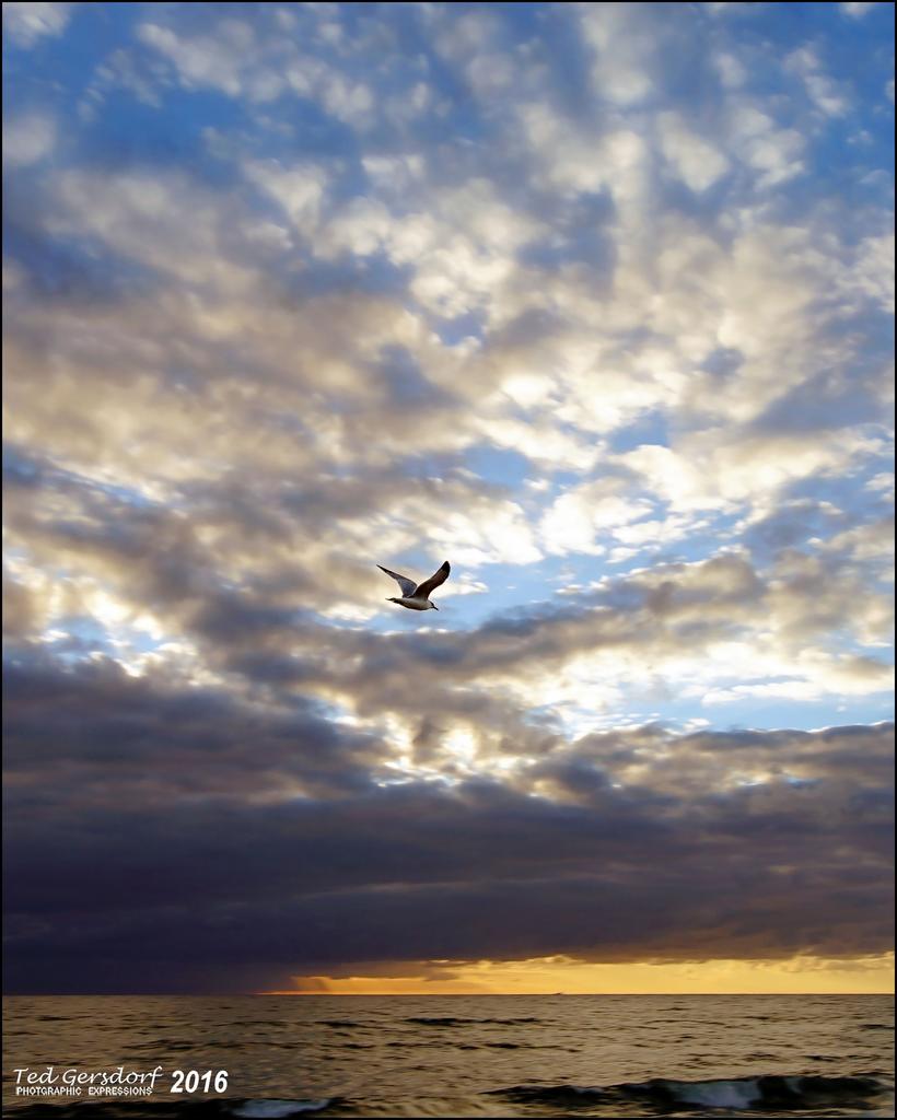 2-21-16 DFB Sunrise   8.jpg