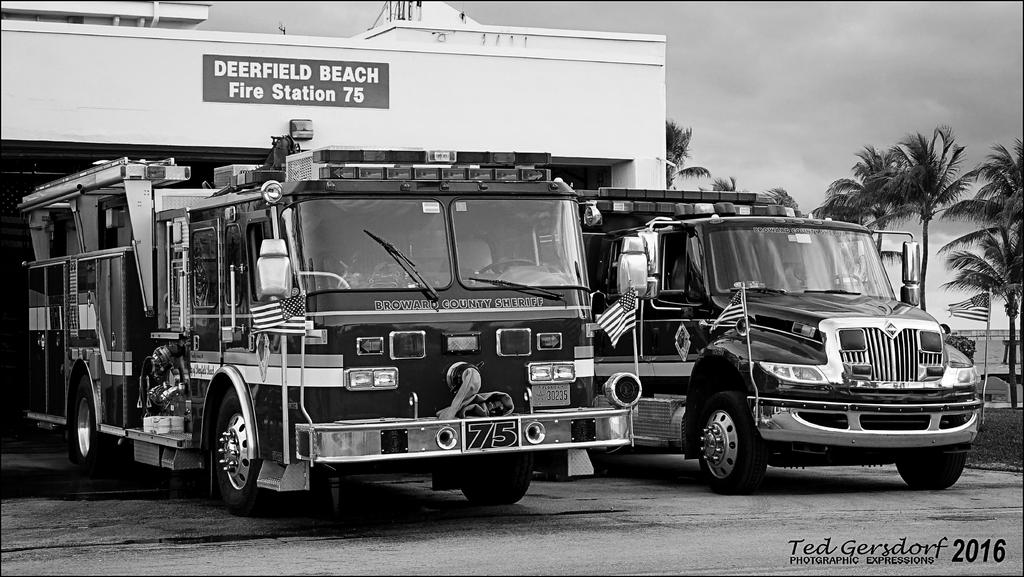 2-21-16 DFB Sunrise   9 BW.jpg