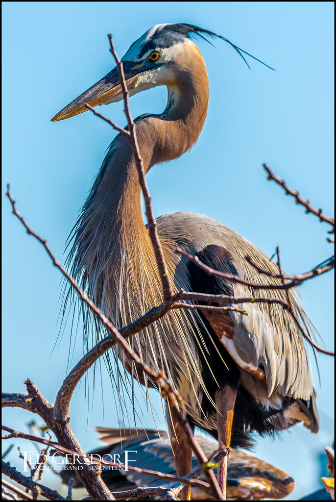2-25-17 Wako with Nikonites-1-14.jpg