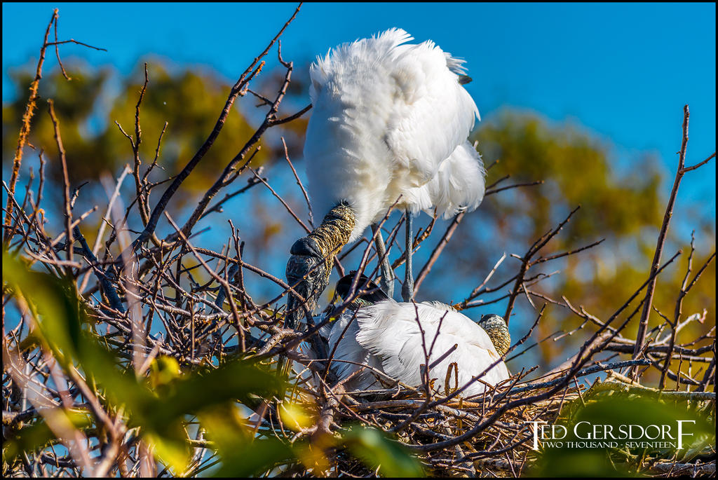 2-25-17 Wako with Nikonites-1-2.jpg 2-25-17 Wako with Nikonites-1-2.jpg