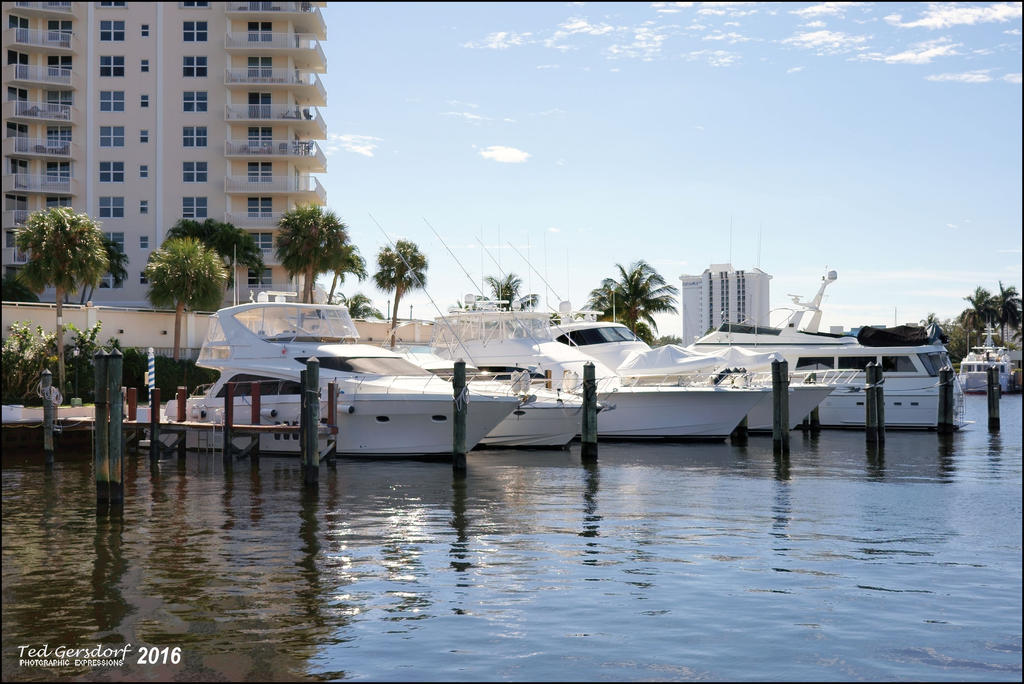 2-29-16 FTL Marina   2.jpg