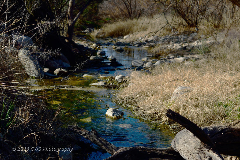 2-5-16-cr_DSC_3176.jpg