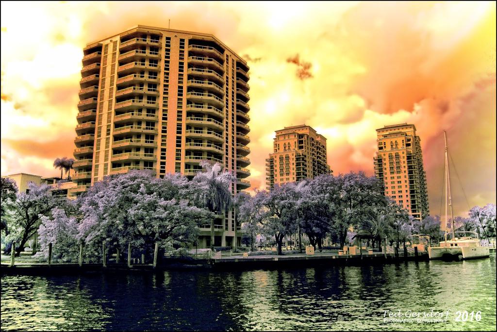2-6-16 New River IR   12.jpg