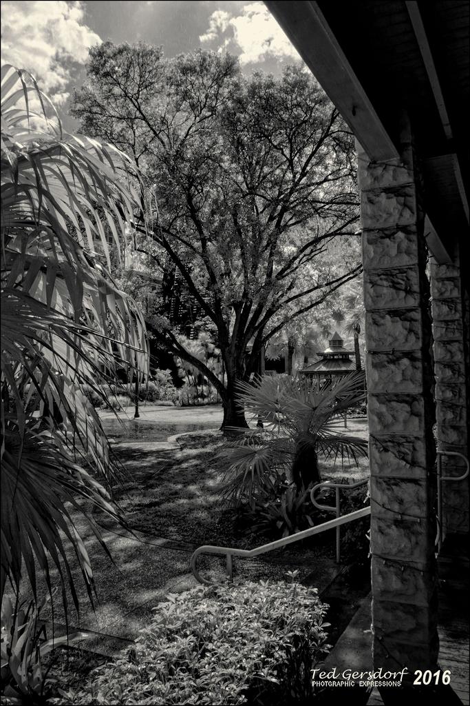 2-6-16 New River IR   18BW 2.jpg