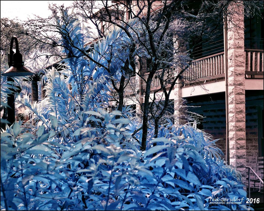 2-6-16 New River IR   3.jpg