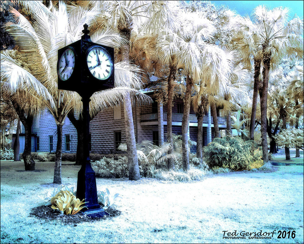 2-6-16 New River IR   8.jpg