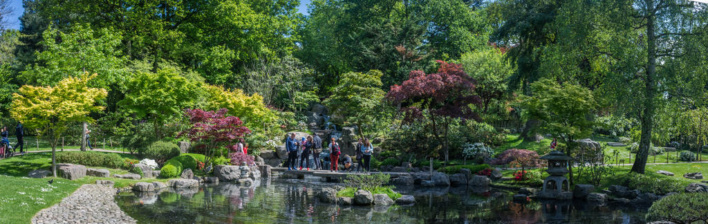 2 Kyoto Garden.jpg