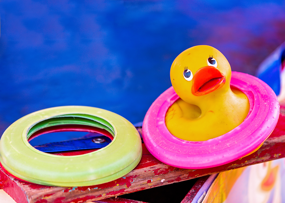 20 June 2015 - Rings Around the Duck.jpg