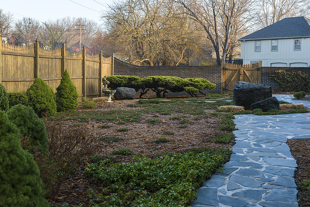 20 March 2015 - Mom's Back Yard.jpg