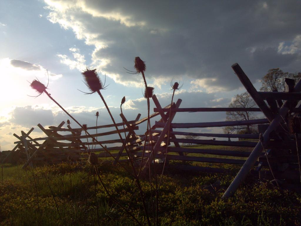2012-04-08 18.35.42.jpg