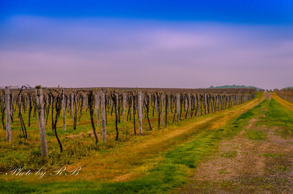 20120511-_1RB4767.jpg