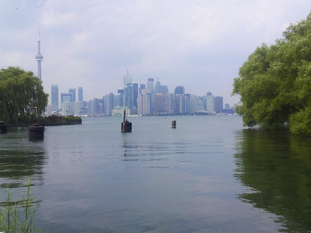 20120619_202538.jpg