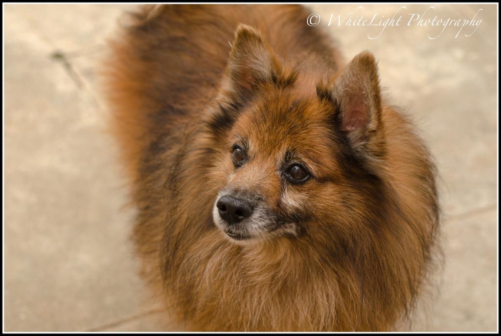 20120927-DSC_2396_WLP.jpg