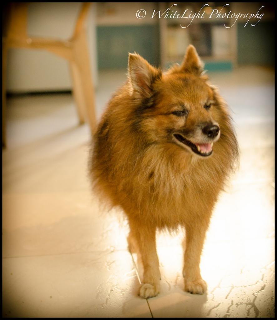 20121025-DSC_3049_WLP-2.jpg