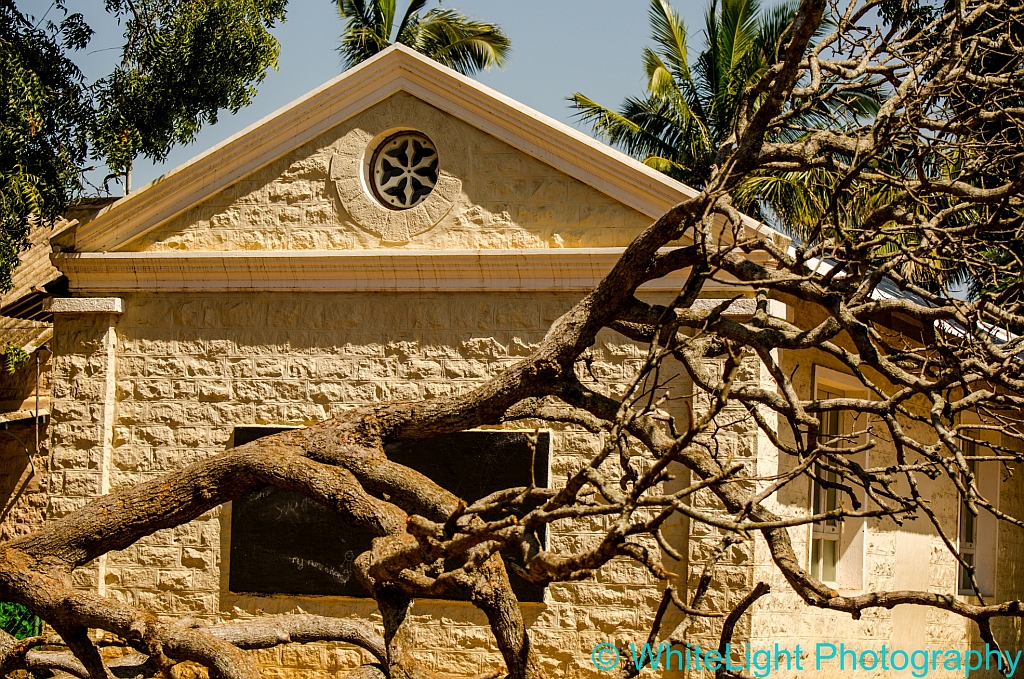 20121114-DSC_3399.jpg