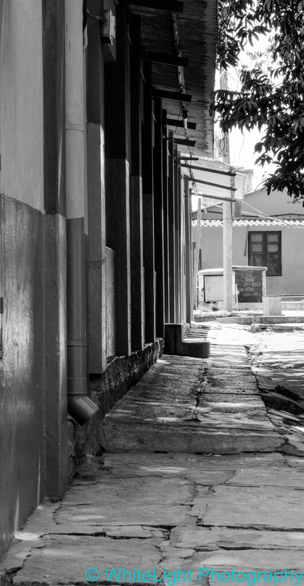 20121114-DSC_3426.jpg