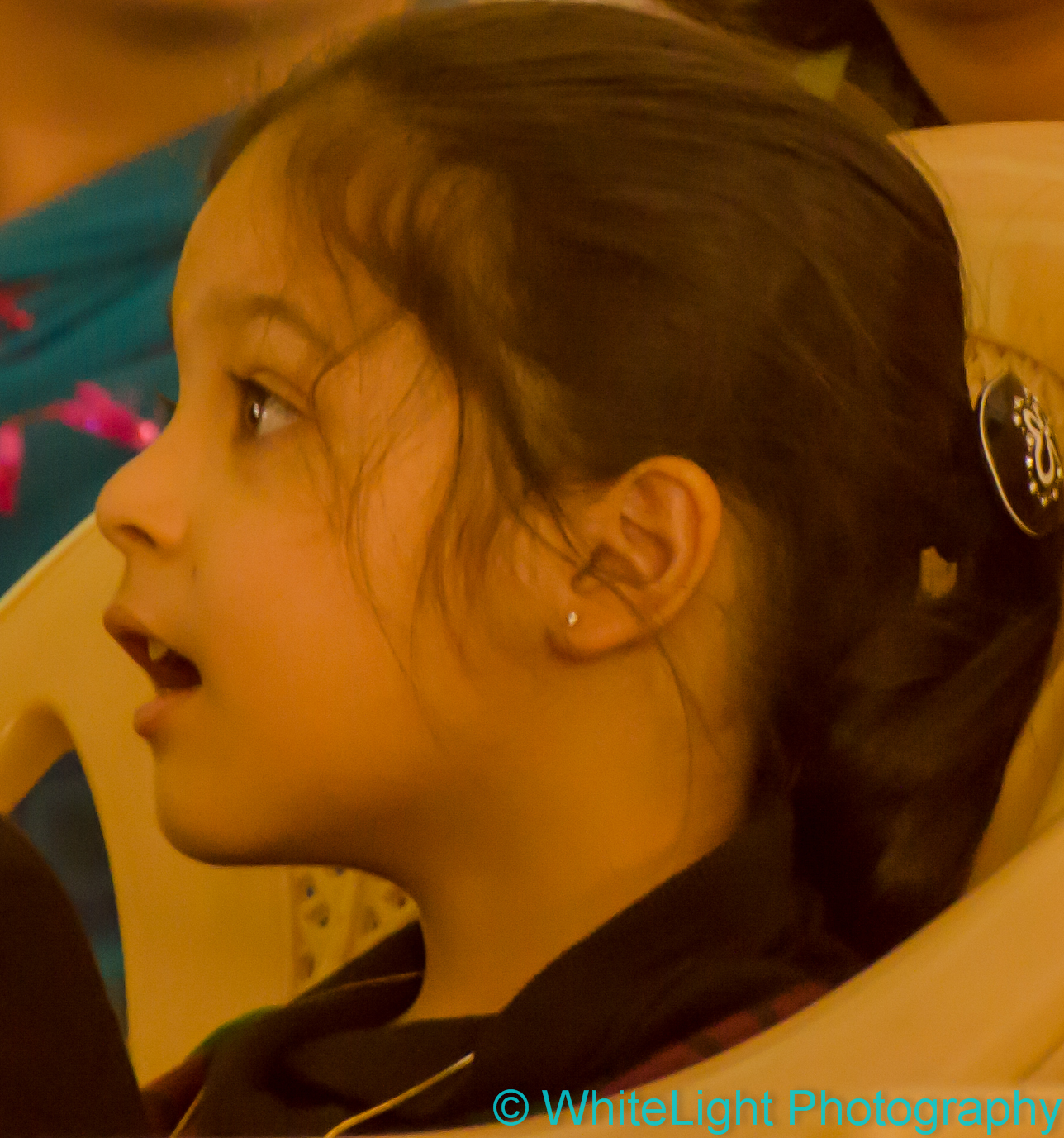 20121114-DSC_3504.jpg