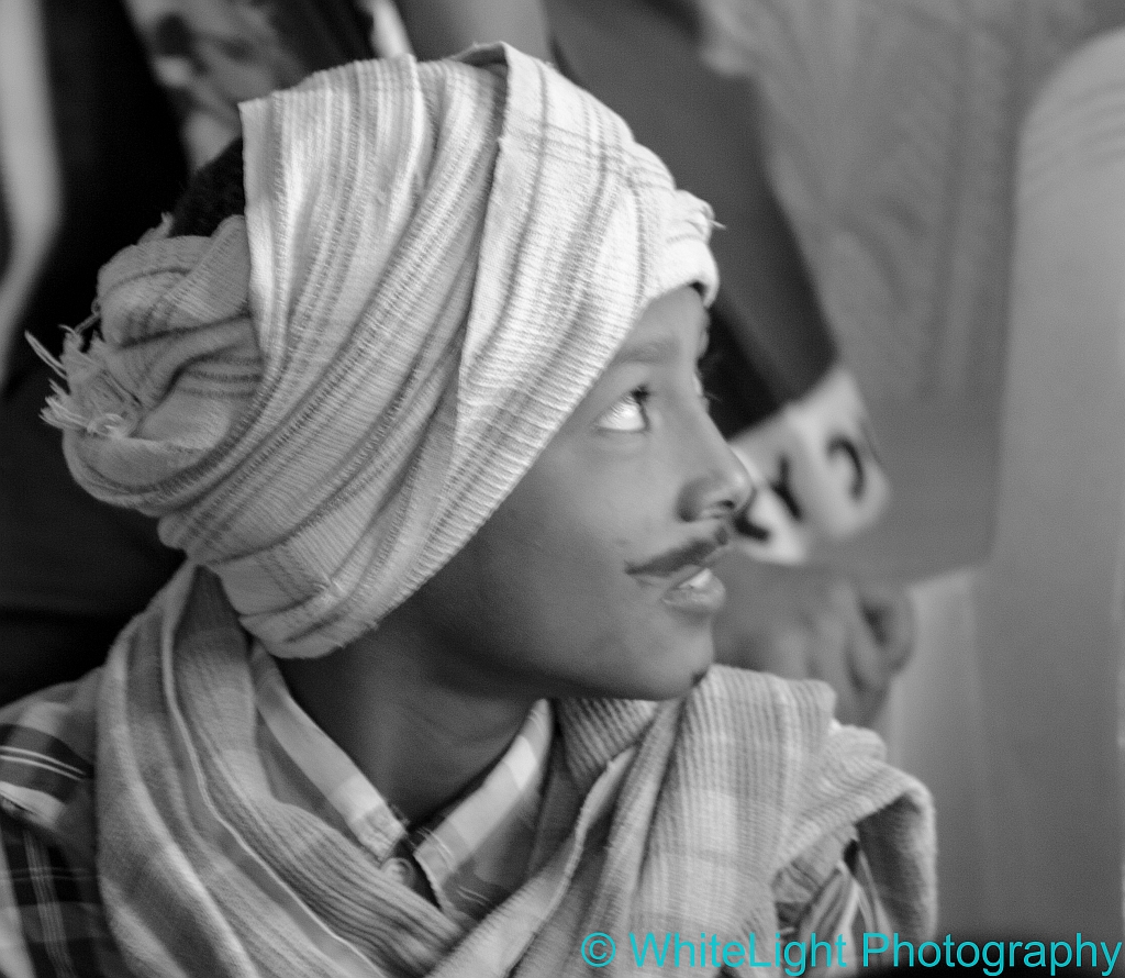 20121114-DSC_3515.jpg