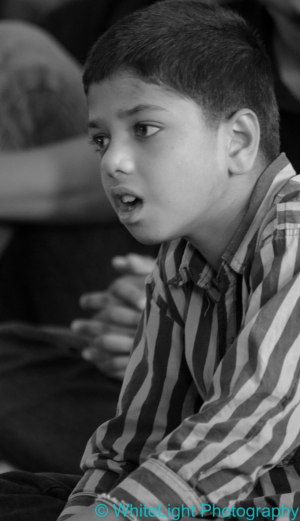 20121114-DSC_3546.jpg