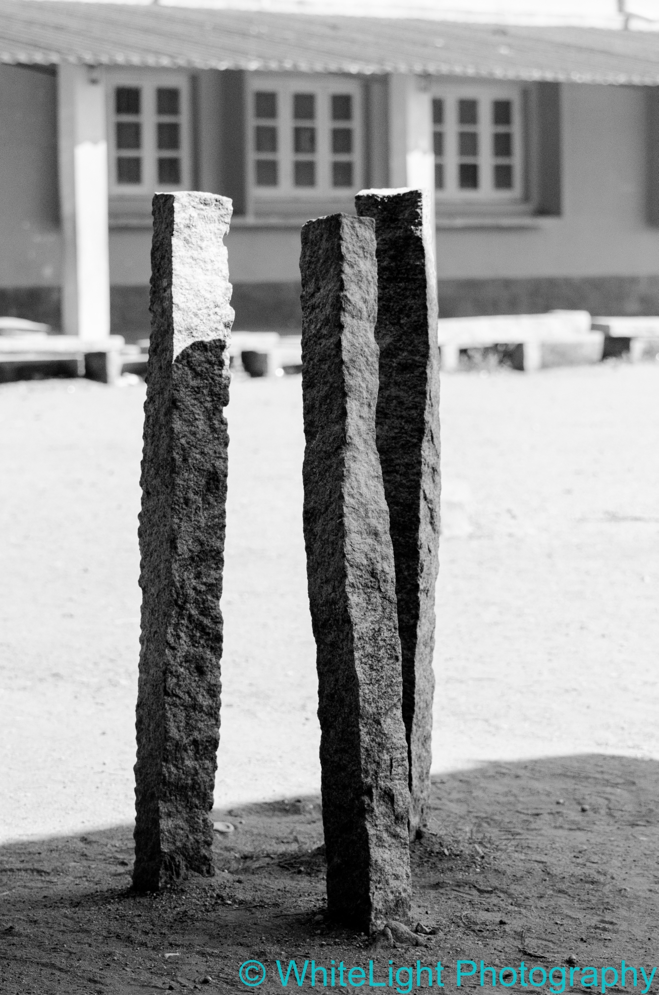 20121114-DSC_3568.jpg