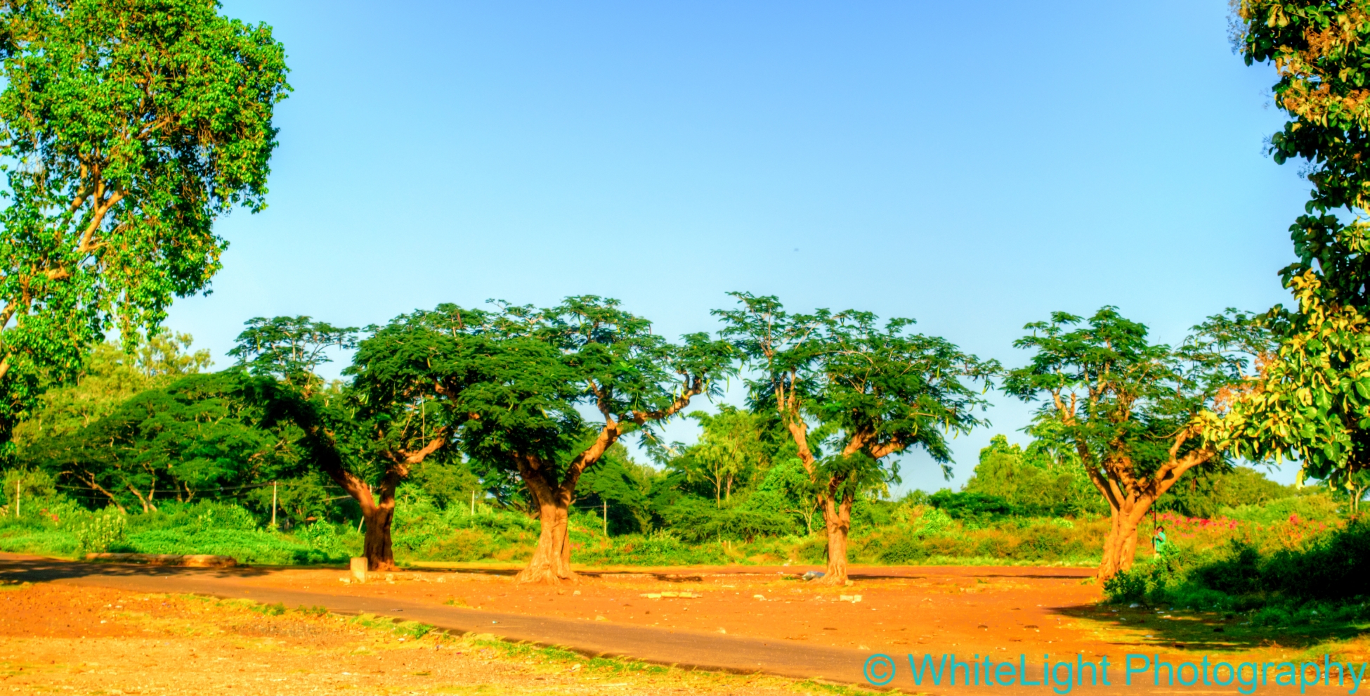 20121114-DSC_3675_6_7_tonemapped.jpg