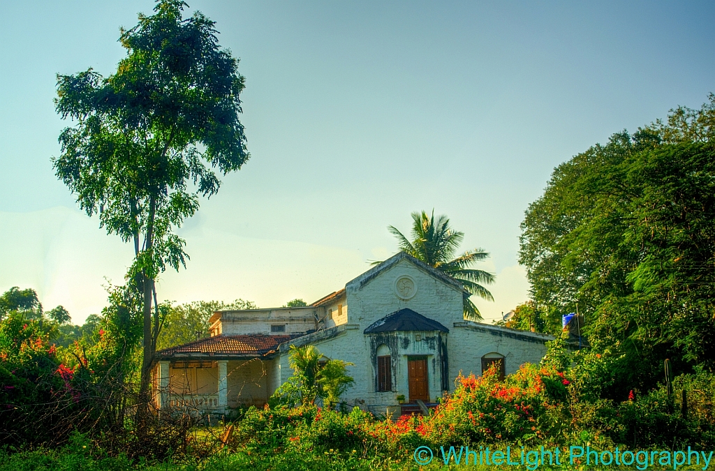 20121114-DSC_3684_5_6_tonemapped-Edit.jpg