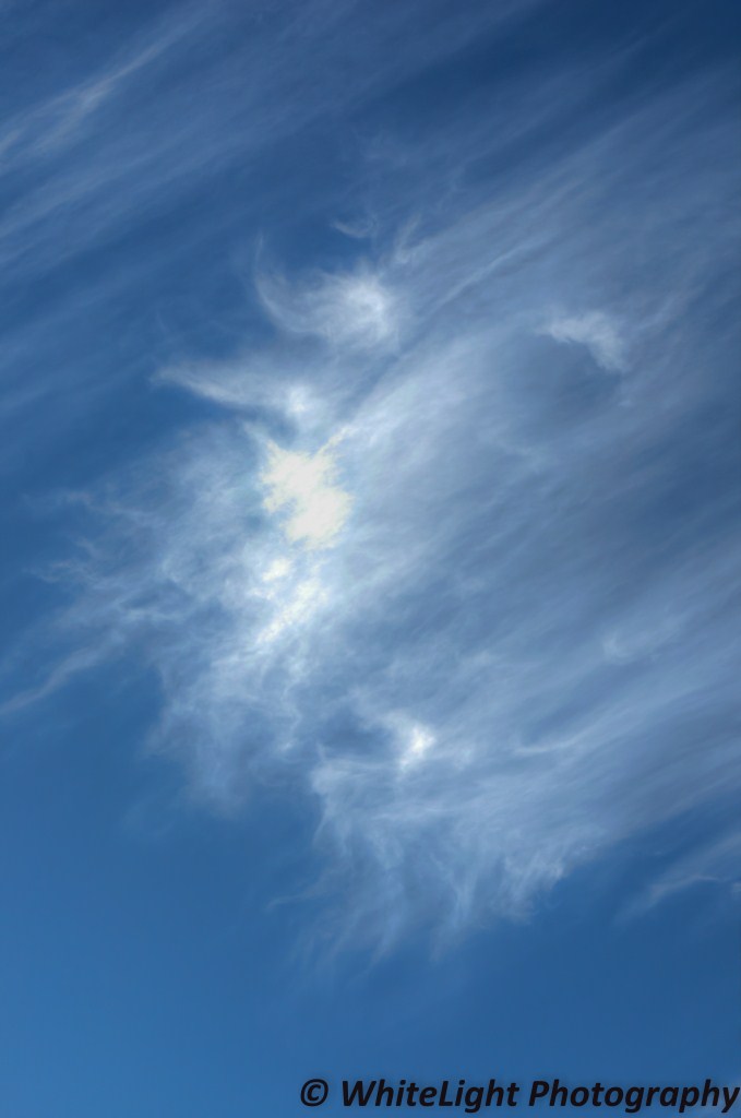 20121207-DSC_5756_tonemapped (679 x 1024).jpg