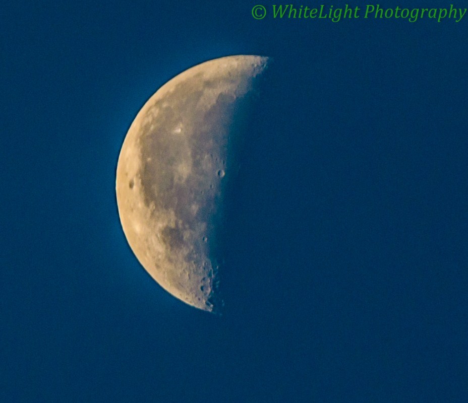 20121207-DSC_5763 (928 x 800).jpg