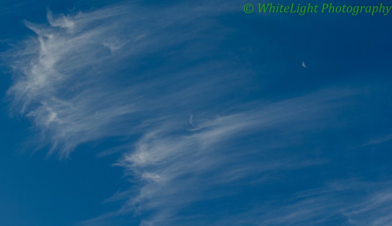 20121207-DSC_5775 (800 x 462).jpg