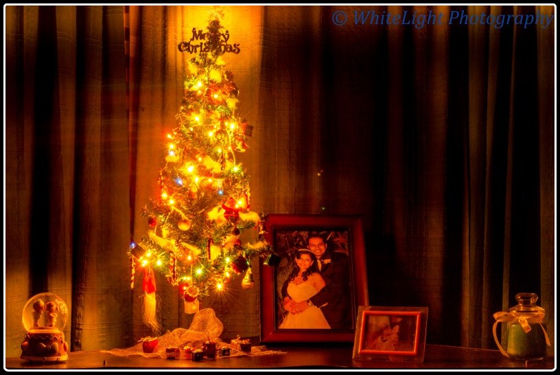 20121225-DSC_5904 (800 x 530).jpg